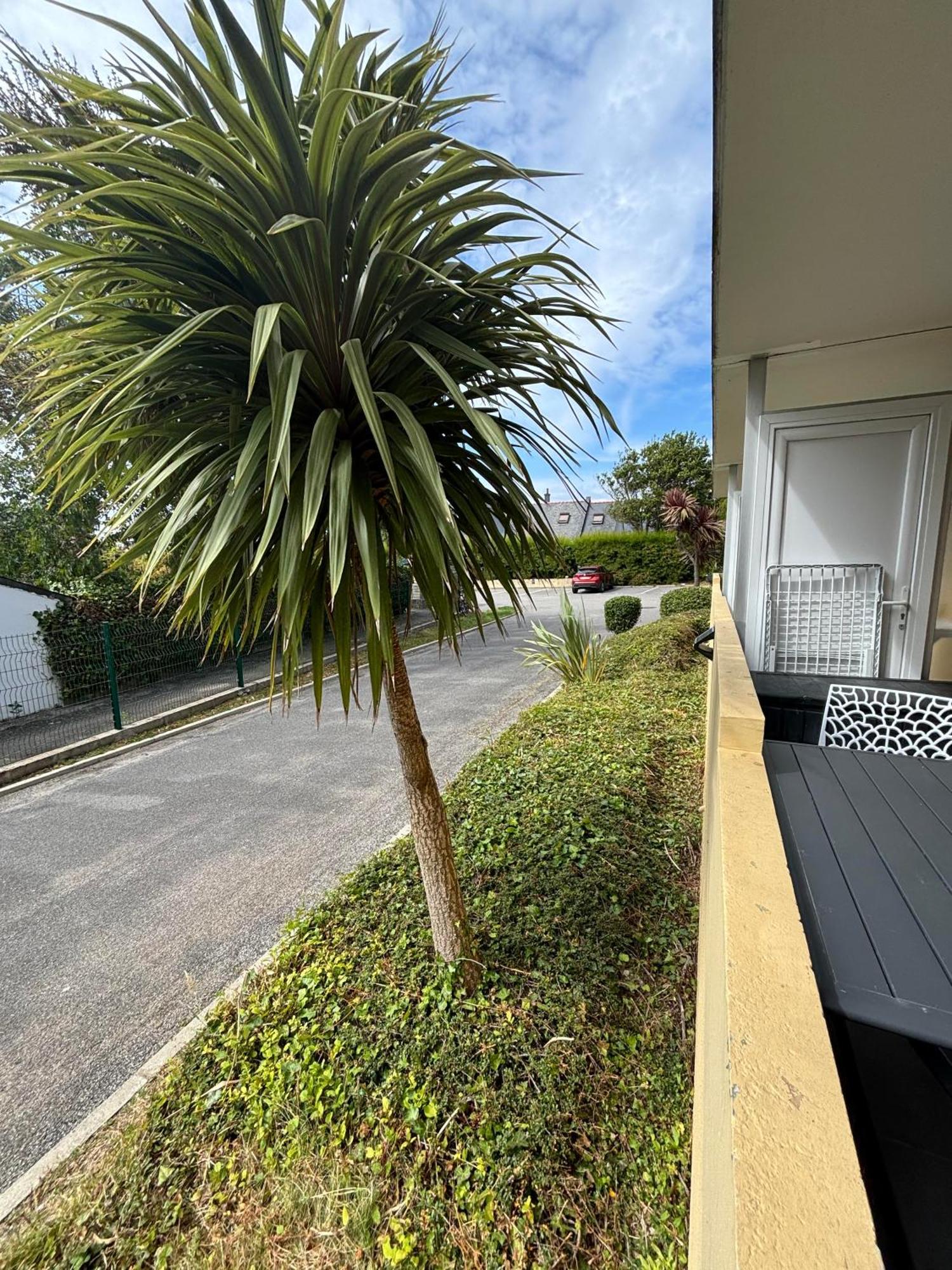 Appartement Studio 4 Personnes Dans Residence Avec Piscine Quiberon Kültér fotó